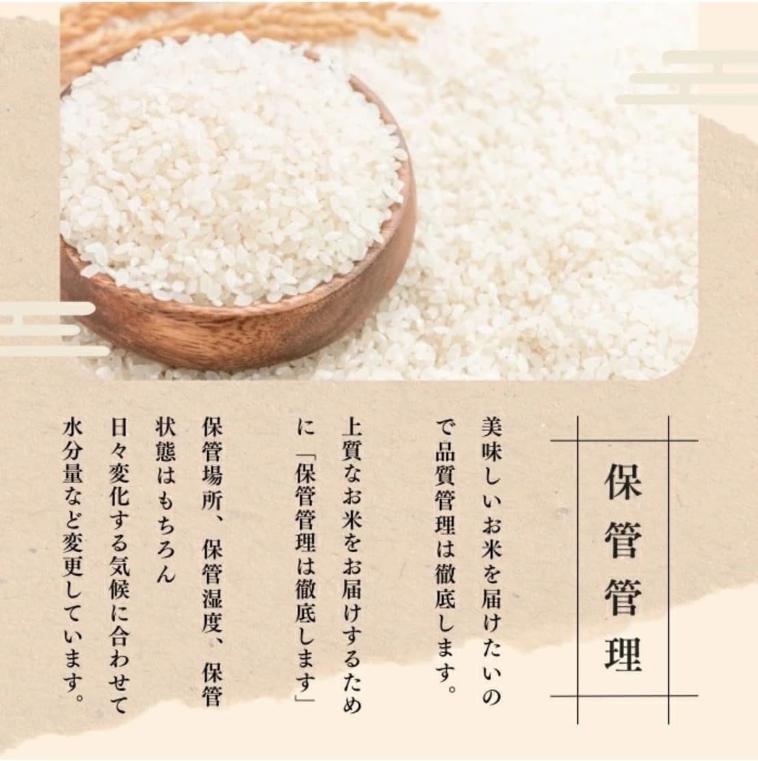 新米 新潟県産コシヒカリ 精白米 10kg 令和7年産 お米マイスター厳選