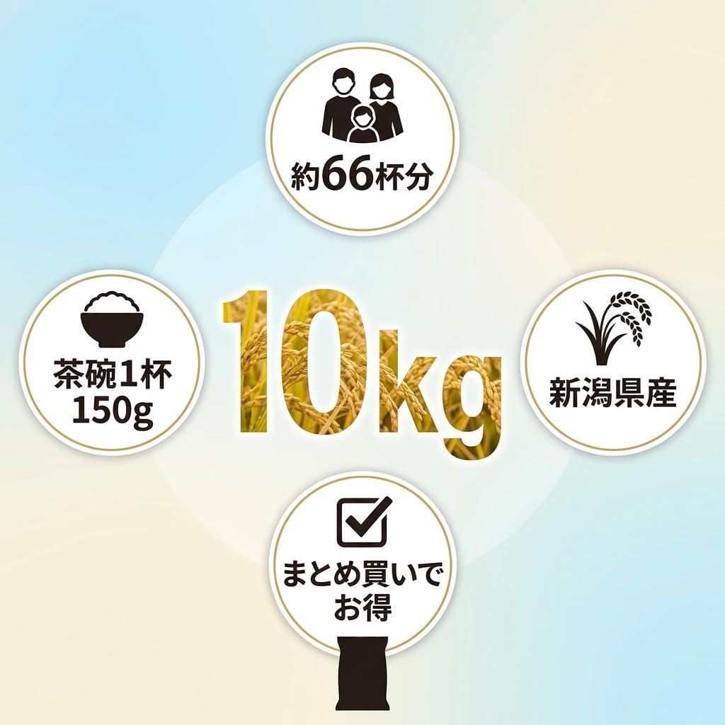 新潟コシヒカリ ブレンド米 訳あり品 精白米 10kg
