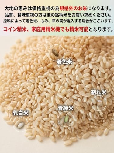 大地の恵み 玄米 10kg
